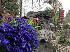 -青城甲(青城山店)