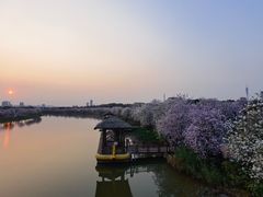 -海珠湖公园