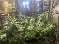 -蘇河湾·新鲁菜·泰山宴(泰山店)
