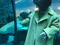 -乐从天佑城海洋馆