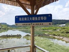 -南江大塘鱼庄