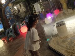 -zoonana室内动物园(东方福来德店)