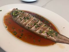 -魚當家