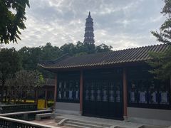 -顺峰山公园