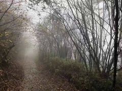 -西岭雪山大飞水景区