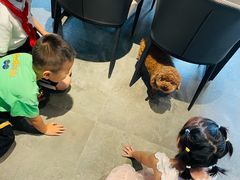 -蓝山四季西餐植物店