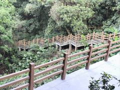 -广州市帽峰山景区