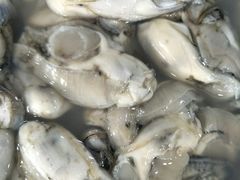 炸蛎黄-渔家小院观海海肠捞饭地方菜(环海中路店)