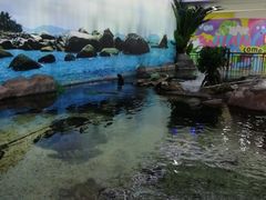 -鸿通城购物中心