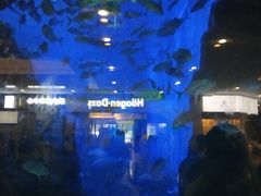 -成都浩海立方海洋公园