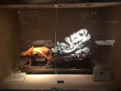 -北京七彩云南翡翠珠宝旗舰店(月坛店)