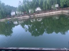 -尚庄度假村·庭台树下·户外烧烤·团建CS·轰趴营地(上庄水库店)