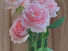 -美森西餐厅(曙光大道店)