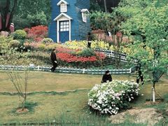 -铁山坪森林公园