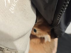 -星巴克臻选(沈阳大悦城店)