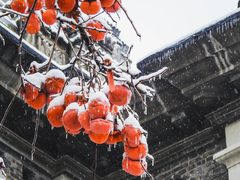 -古德寺