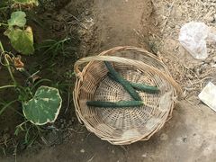 -意大利农场度假村