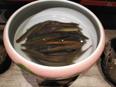 -百味地锅鸡(二店·财校分店)