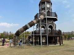 -上海长兴岛郊野公园