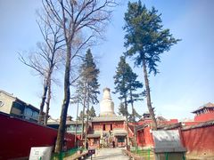 -五台山风景名胜区