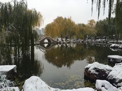-紫竹院公园冰场