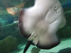 -珠海长隆海洋王国