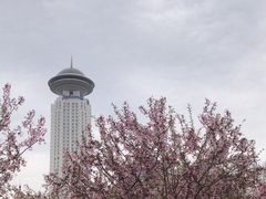 -人民公园-相亲角