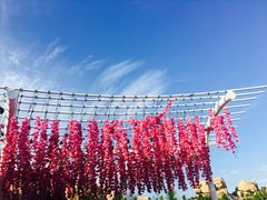 -那琴半岛地质海洋公园