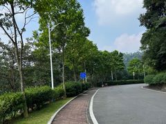 -火炉山森林公园