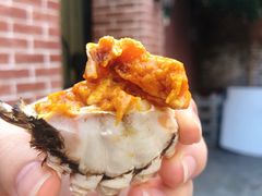-黄记大闸蟹专卖店·活蟹·醉蟹