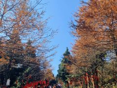 -南岳衡山风景名胜区