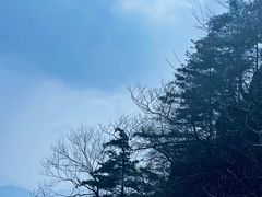 -王顺山国家森林公园
