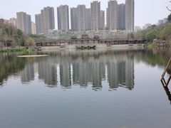 -重庆彩云湖湿地公园