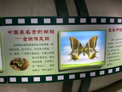 -上海昆虫博物馆