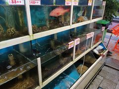 水产区-鑫悦楼煎蟹·16年海鲜大排档