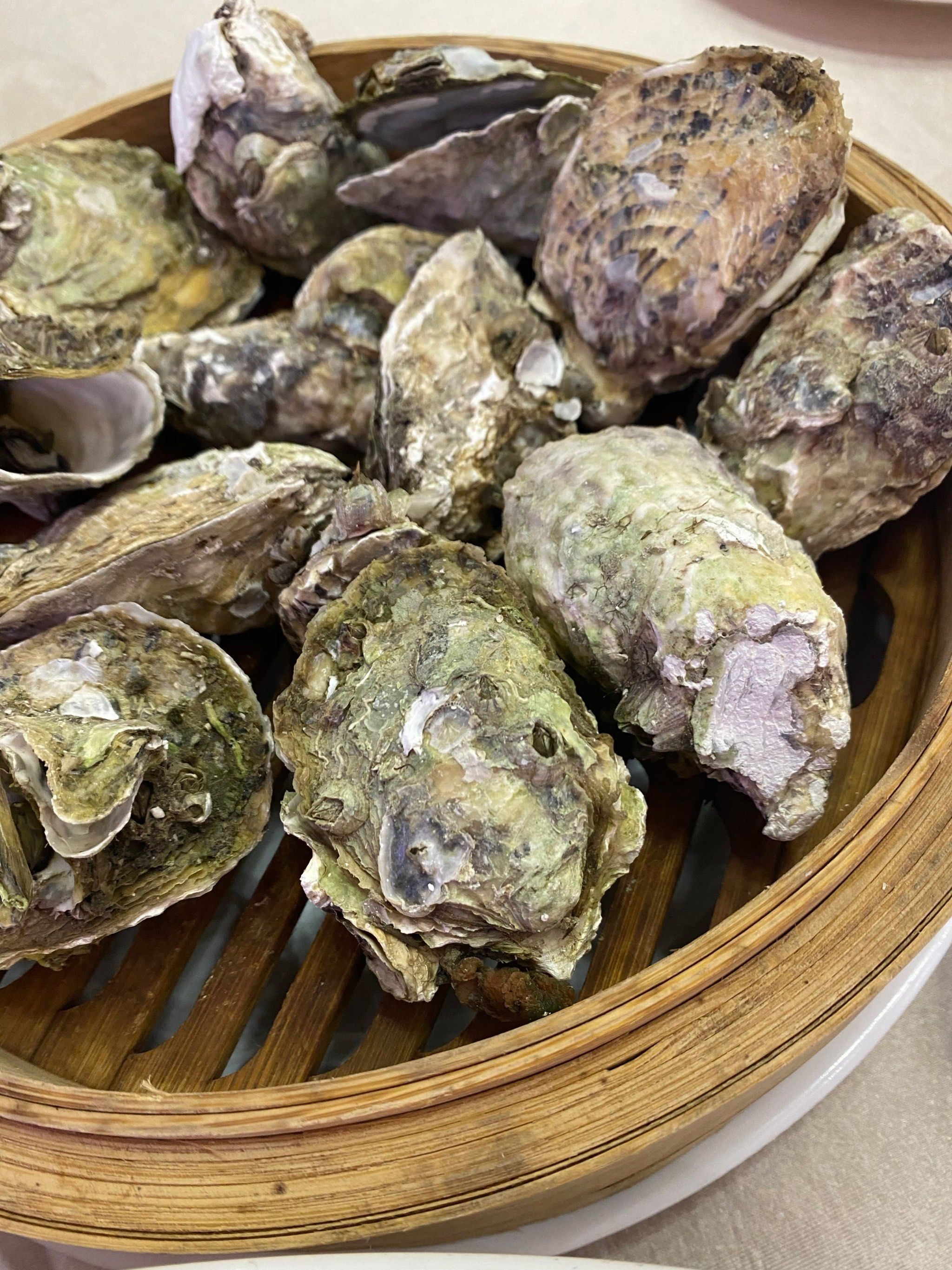 原汁原味吃蒸生蚝🦪