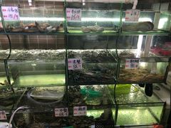 水产区-覃记海鲜美食餐厅