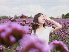-紫颐香薰山谷景区
