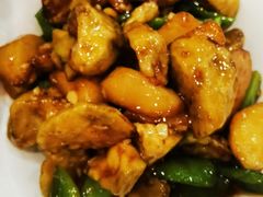 -邵年鸽(杨庄店)