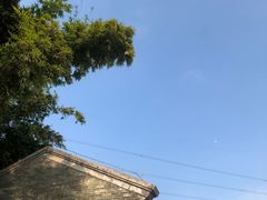 -广州市帽峰山景区