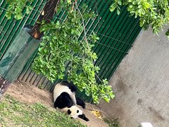-沈阳森林动物园