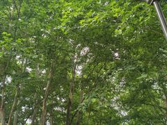 -钟山体育运动公园