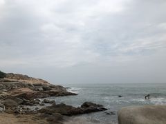 -广东惠东海龟国家级自然保护区