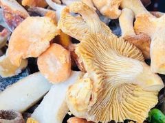 -野菌皇海景野生菌火锅(滨海大道店)