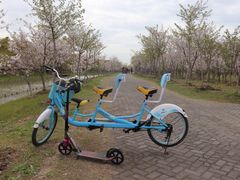 -上海海湾国家森林公园