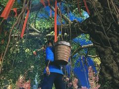 -芜湖方特东方神画