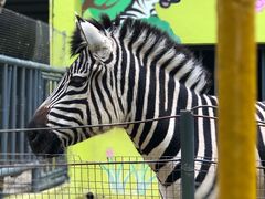 -荆州中山公园动物园