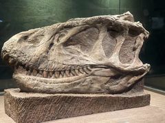 -自贡恐龙博物馆