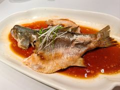 清蒸鲈鱼-大鸭梨烤鸭(枣园店)