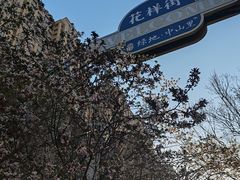 -绿地·中山里